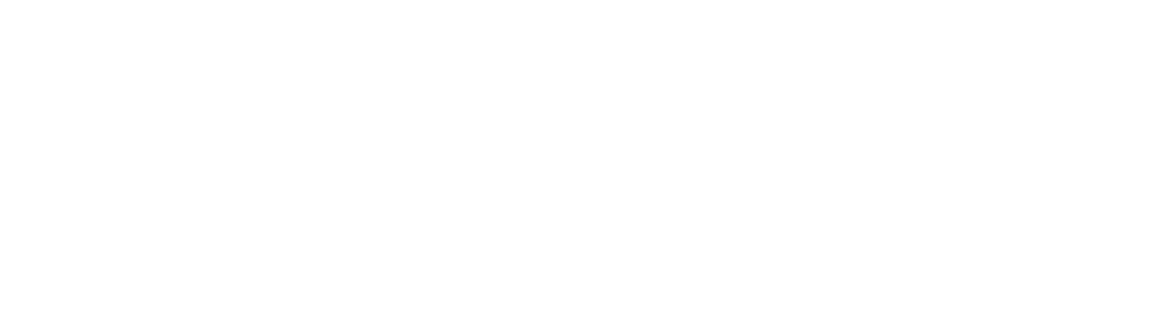 Bichler_Hausgeraete_Logo_cmyk_white3.png